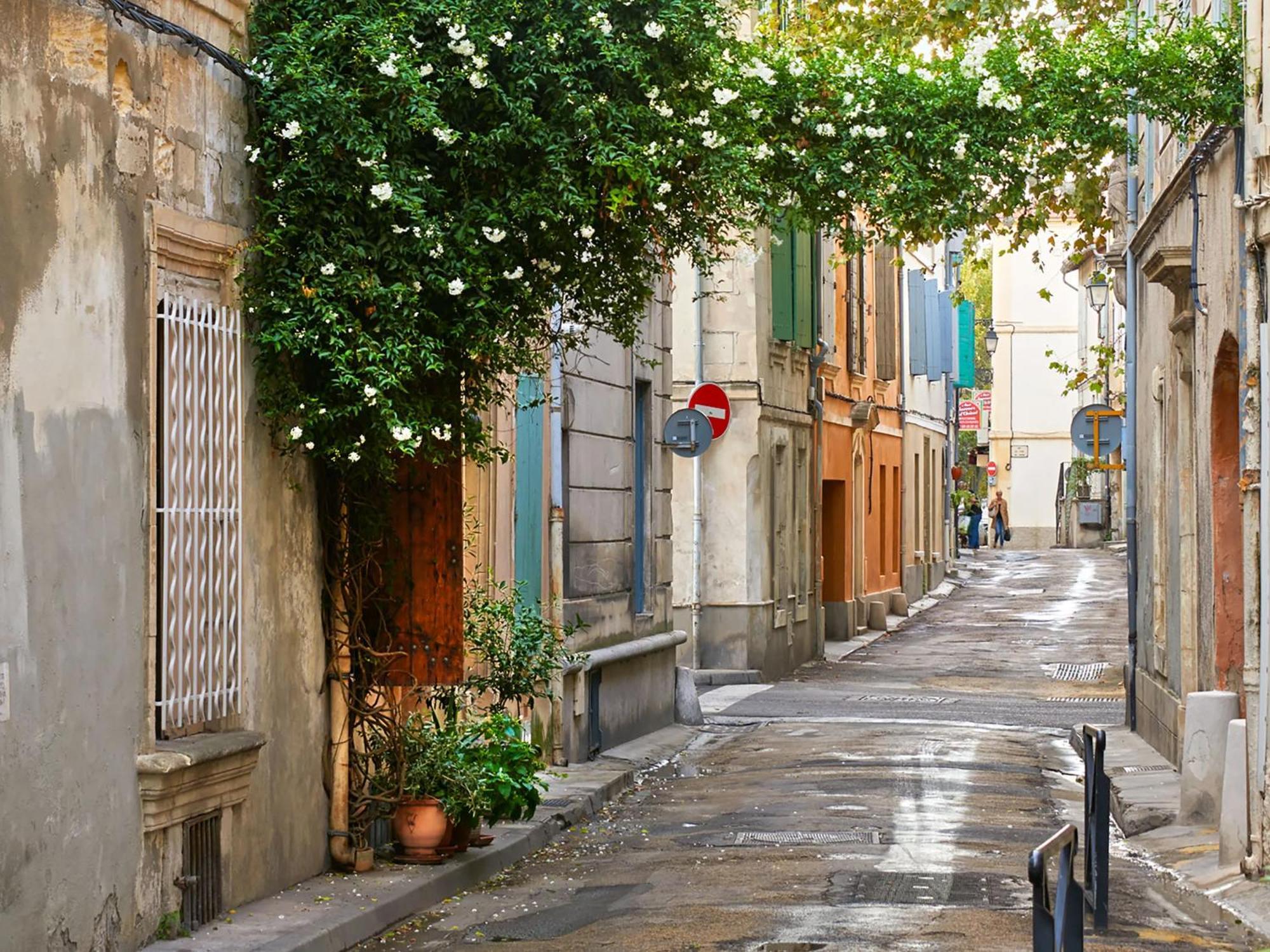 Hebergements Modernes & Cosy A Arles T3 Et T2 Elegants Екстер'єр фото
